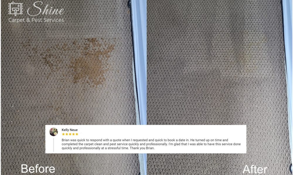 Customer Review 7